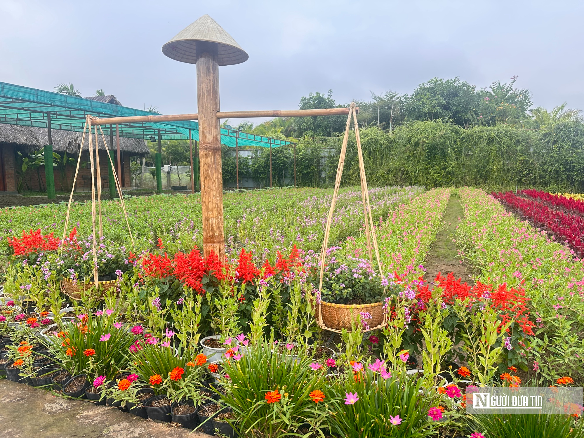 Festival Hoa – Kiểng Sa Đéc 2025 mở rộng không gian sáng tạo, tôn vinh trăm năm hương sắc- Ảnh 2.