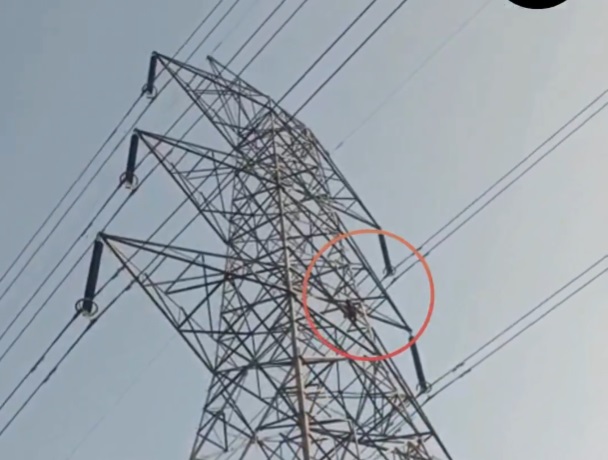 Bị từ chối kết hôn, nam thanh niên trèo lên cột điện đòi tự tử - Ảnh 1.