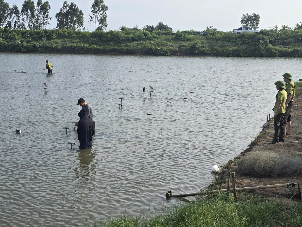 Mang lại bình yên cho những cánh chim trời mùa di trú- Ảnh 8. Mang lại bình yên cho những cánh chim trời mùa di trú- Ảnh 8.