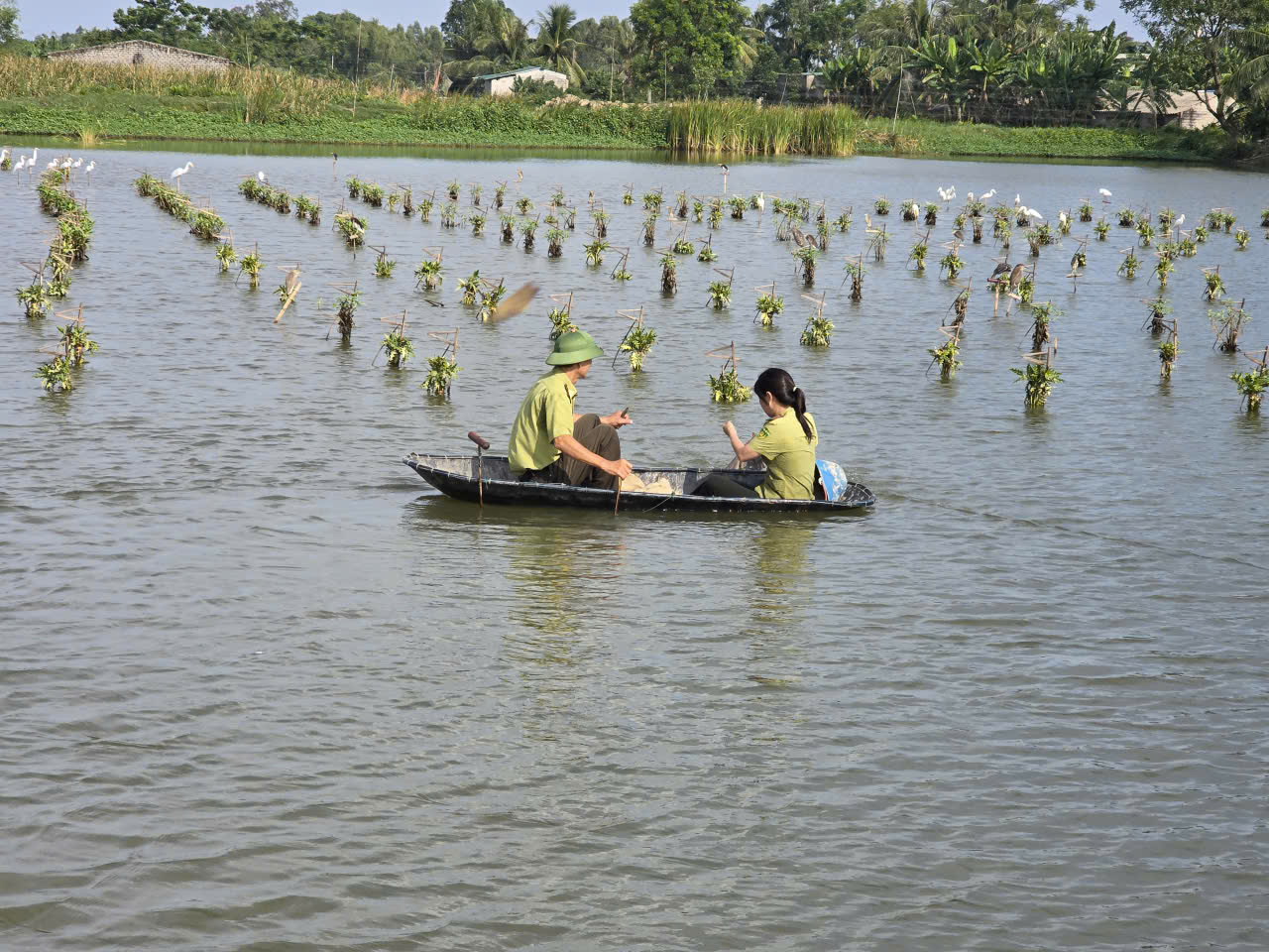 Mang lại bình yên cho những cánh chim trời mùa di trú- Ảnh 9. Mang lại bình yên cho những cánh chim trời mùa di trú- Ảnh 9.
