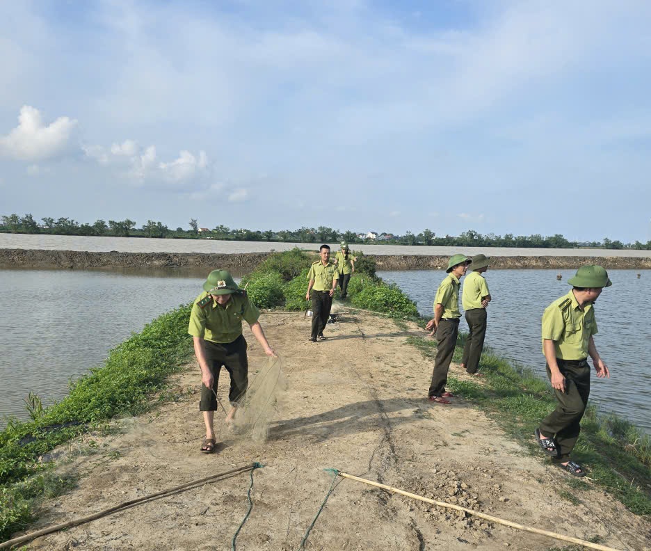 Mang lại bình yên cho những cánh chim trời mùa di trú- Ảnh 5. Mang lại bình yên cho những cánh chim trời mùa di trú- Ảnh 5.
