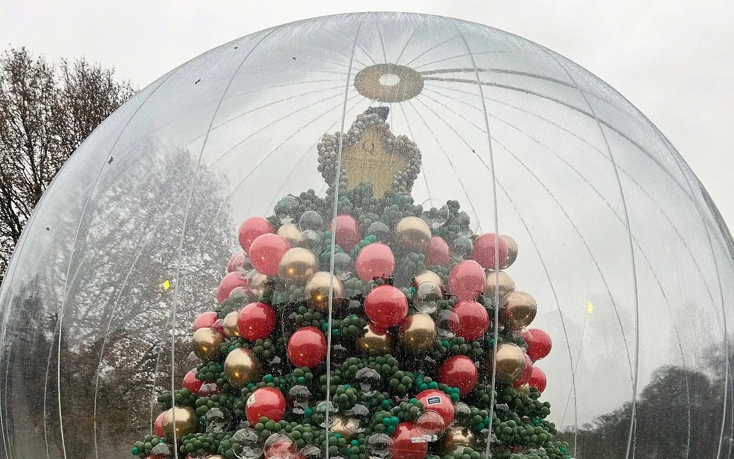 Kỳ lạ: Chú tuần lộc khiến cảnh sát cũng phải vào cuộc - Ảnh 2.