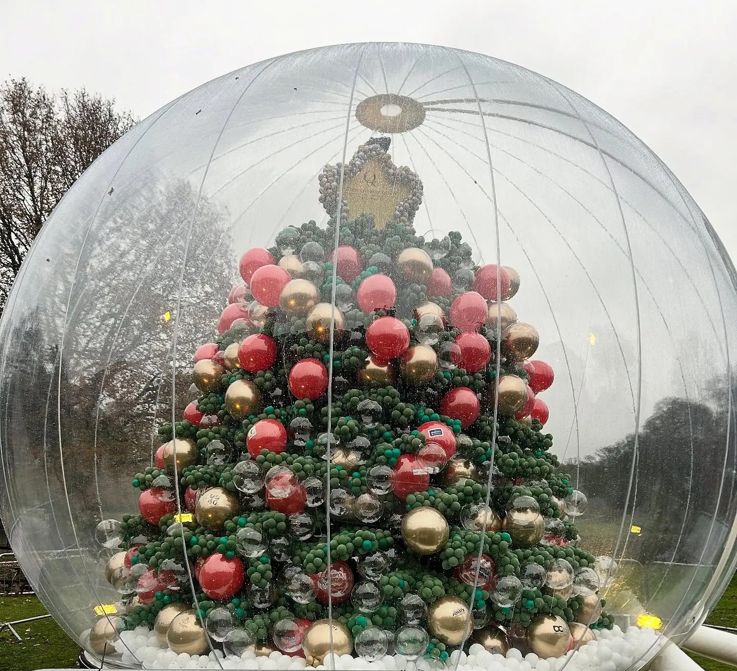 Cây thông kỳ lạ bậc nhất mùa Giáng sinh năm nay ở Anh- Ảnh 1.