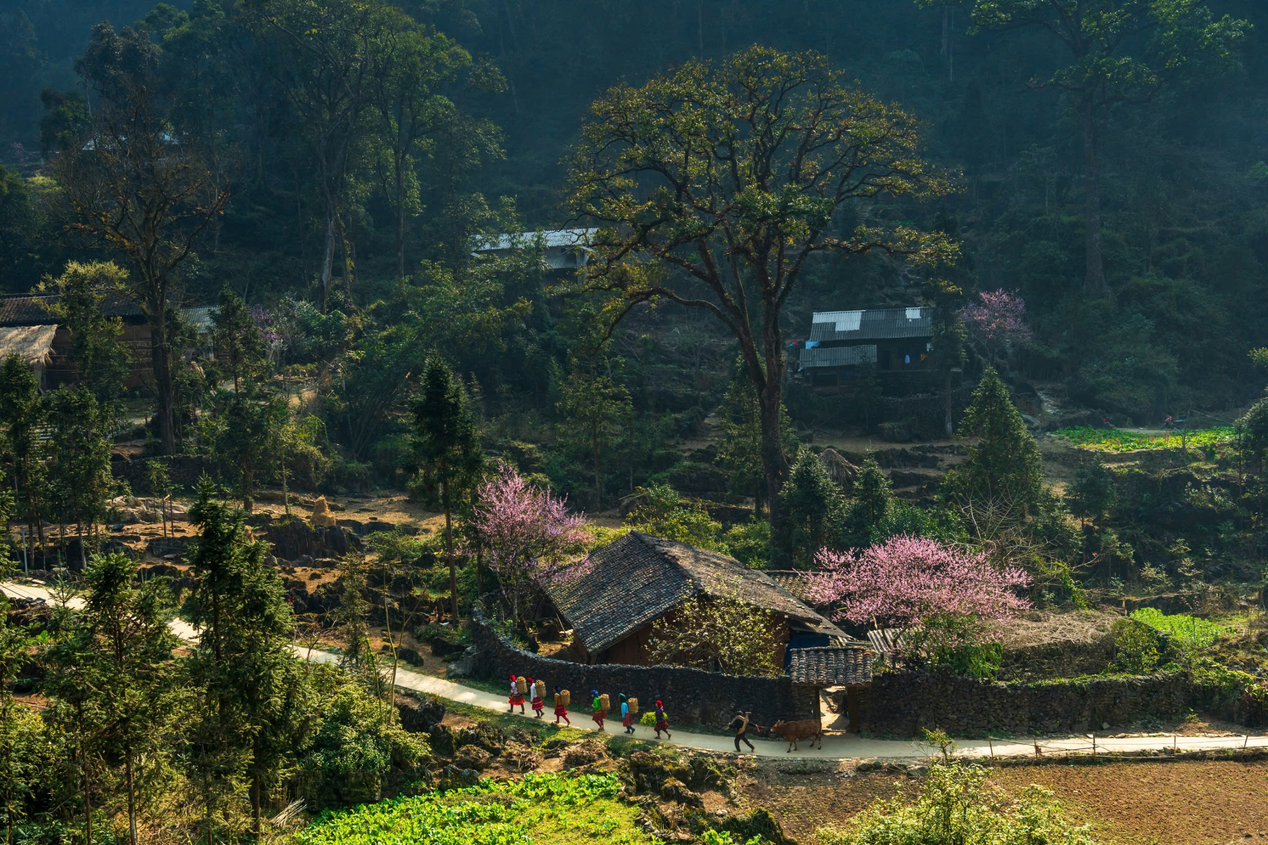 Tuyên Quang đón nhận danh hiệu “Điểm đến văn hóa hàng đầu thế giới 2025” tại Lễ trao giải World Travel Awards - Ảnh 4.