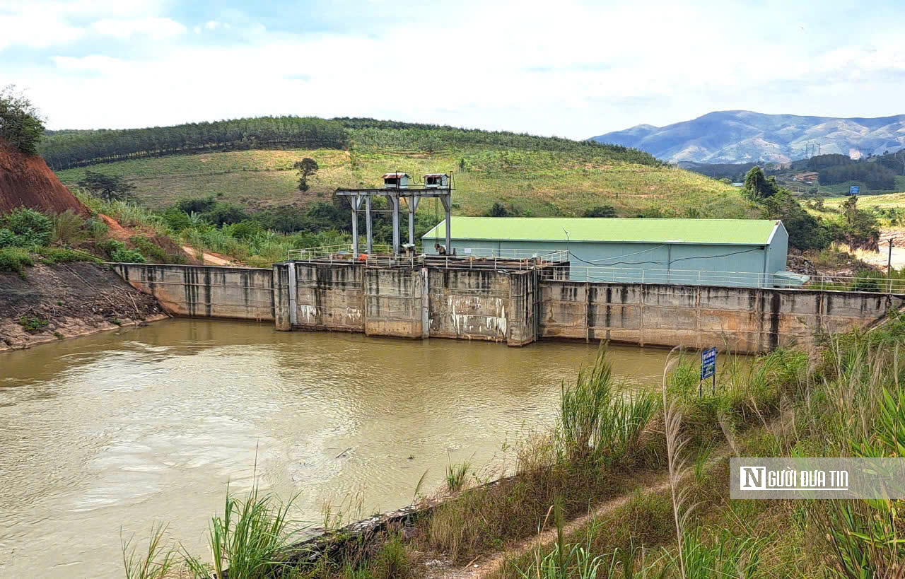 Quảng Ngãi: Xã yêu cầu thủy điện ở Quảng Ngãi tích nước gây ngập đất lúa nâng mức đền bù cho người dân- Ảnh 1.