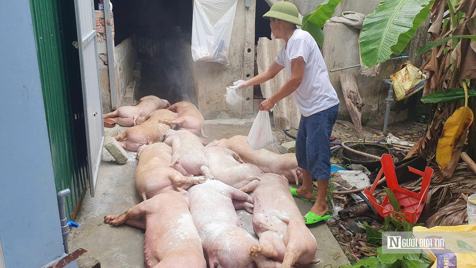 Đẩy nhanh tiến độ thi công dự án khối lượng lớn để Hà Tĩnh duy trì đà tăng trưởng - Ảnh 4.