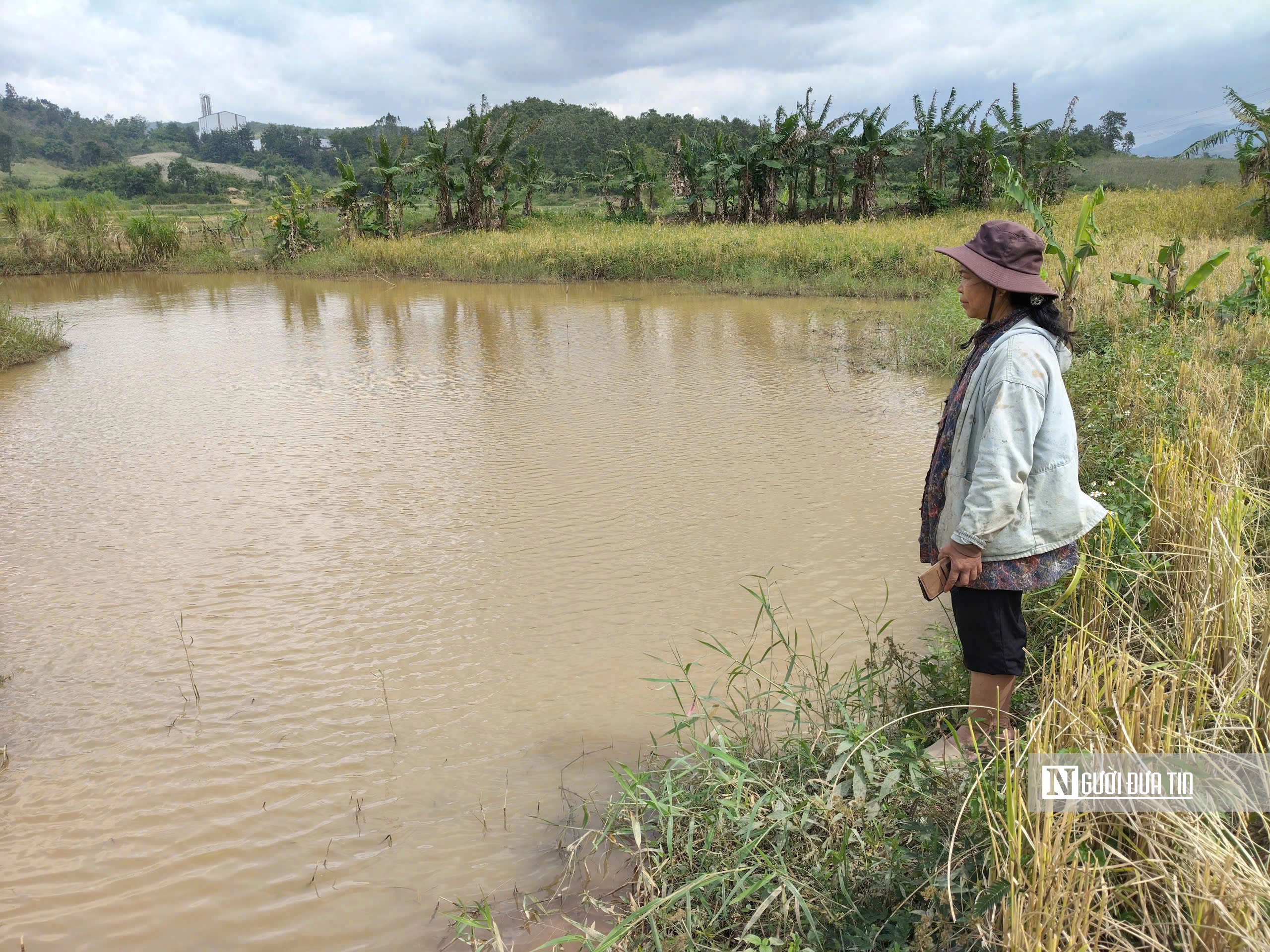 Quảng Ngãi: Xã yêu cầu thủy điện ở Quảng Ngãi tích nước gây ngập đất lúa nâng mức đền bù cho người dân- Ảnh 2. Quảng Ngãi: Xã yêu cầu thủy điện ở Quảng Ngãi tích nước gây ngập đất lúa nâng mức đền bù cho người dân- Ảnh 2.