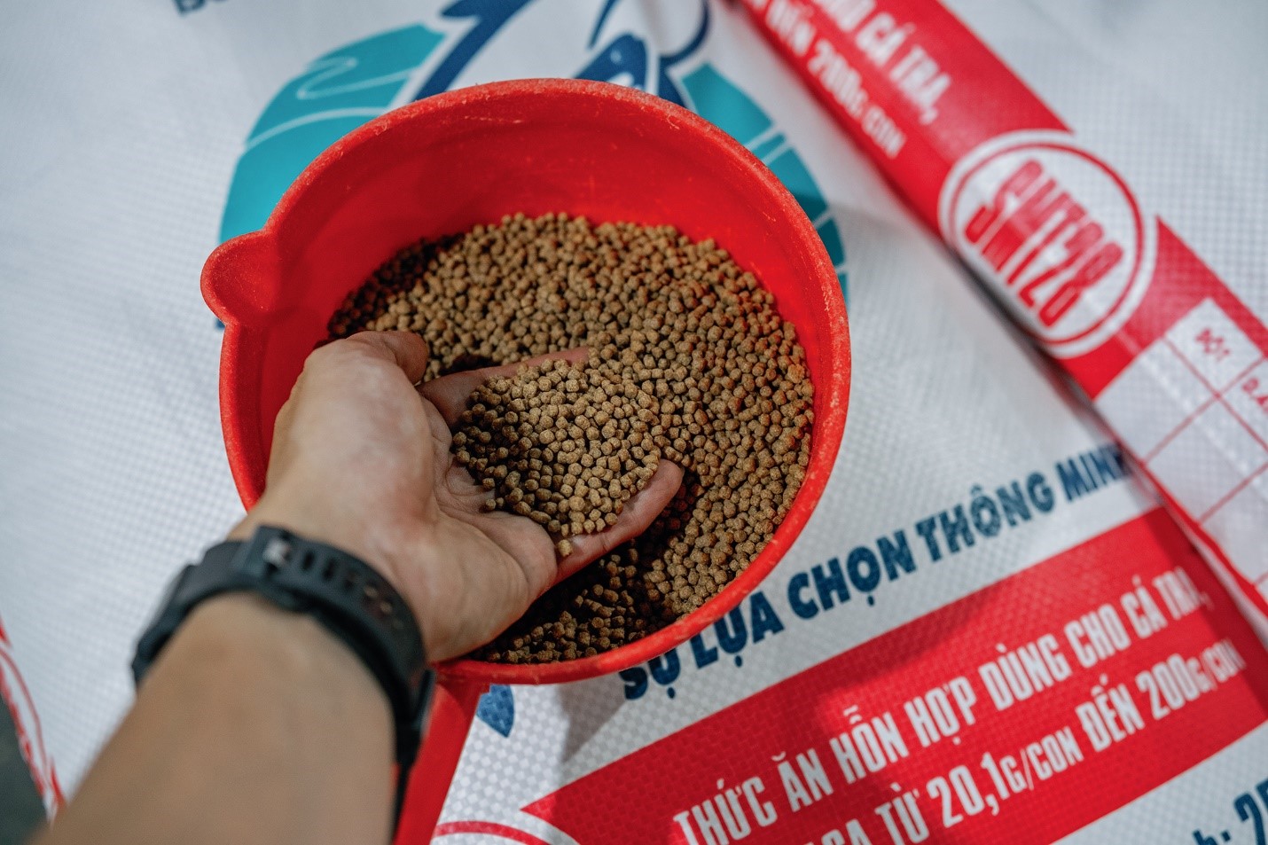 Đi tìm sự chắc chắn cùng Sao Mai Super Feed trong mỗi vụ nuôi- Ảnh 2. Đi tìm sự chắc chắn cùng Sao Mai Super Feed trong mỗi vụ nuôi- Ảnh 2.