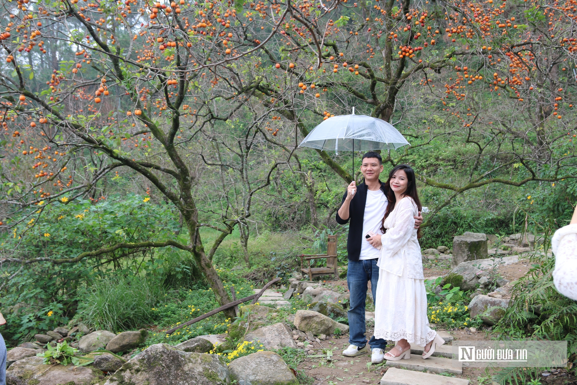 Vườn hồng trăm tuổi ở xứ Nghệ hút khách đến trải nghiệm, check - in- Ảnh 2. Vườn hồng trăm tuổi ở xứ Nghệ hút khách đến trải nghiệm, check - in- Ảnh 2.