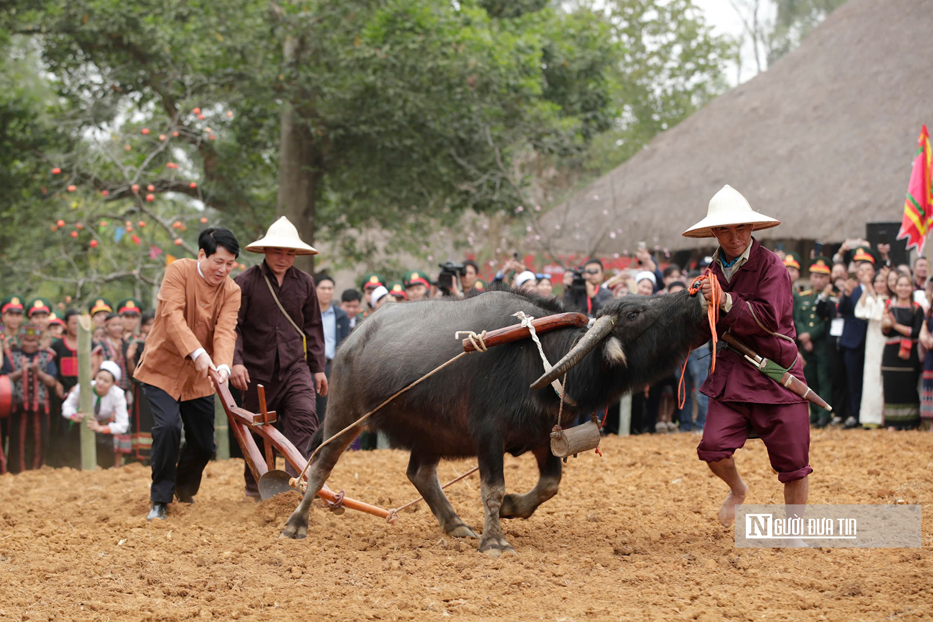 Chủ tịch nước nhảy sạp, xuống đồng cày ruộng cùng nhân dân- Ảnh 11.