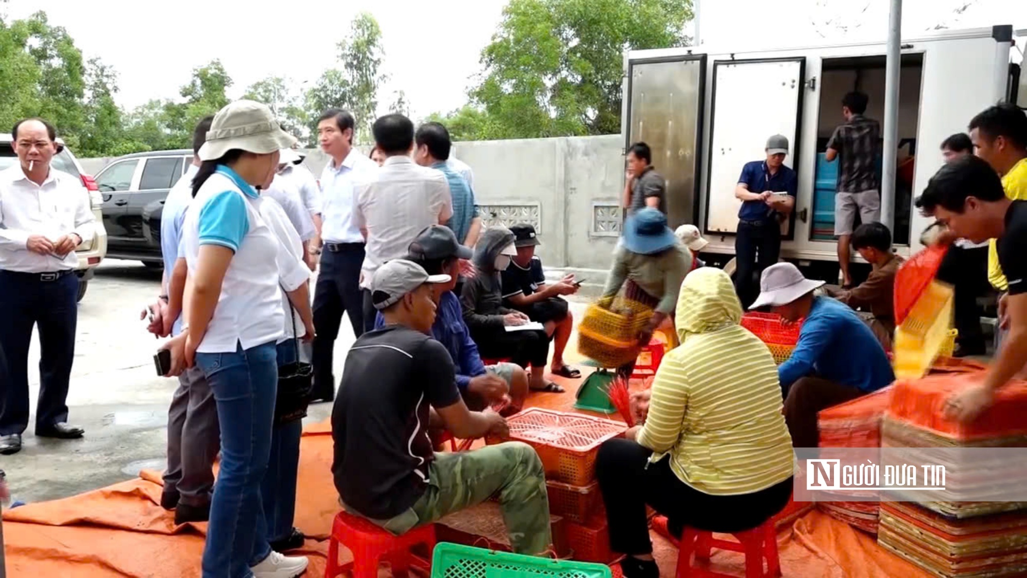 HTX Dịch vụ tổng hợp Tôm hùm Sông Cầu thu hoạch tôm hùm. Ảnh: Bảo Lâm HTX Dịch vụ tổng hợp Tôm hùm Sông Cầu thu hoạch tôm hùm. Ảnh: Bảo Lâm