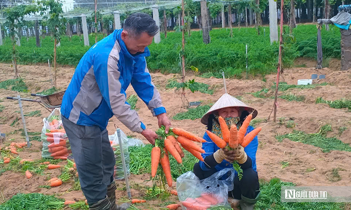 Giải bài toán tìm đầu ra cho các mặt hàng nông sản ở Nghệ An- Ảnh 1.