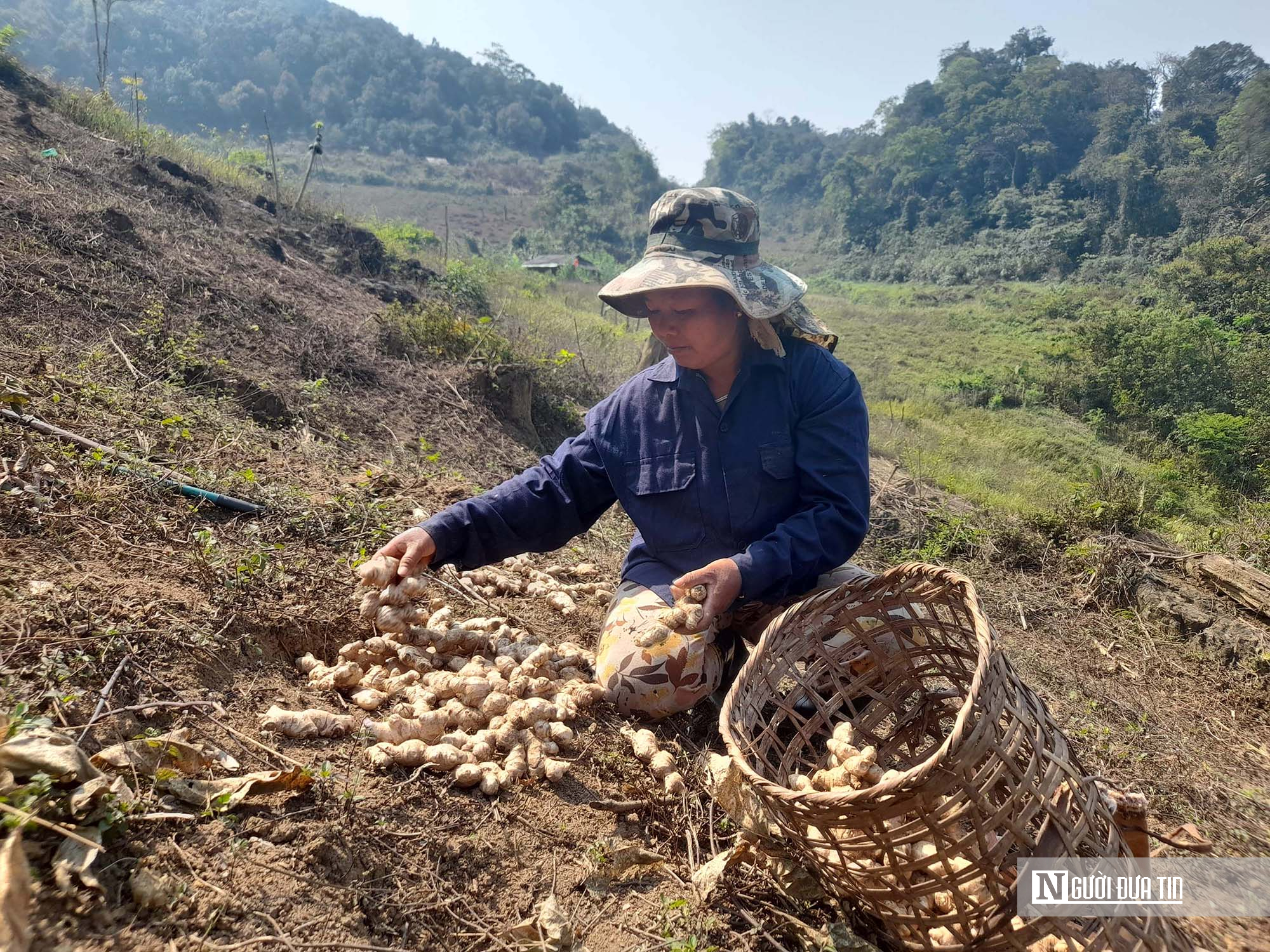 Giải bài toán tìm đầu ra cho các mặt hàng nông sản ở Nghệ An- Ảnh 4.