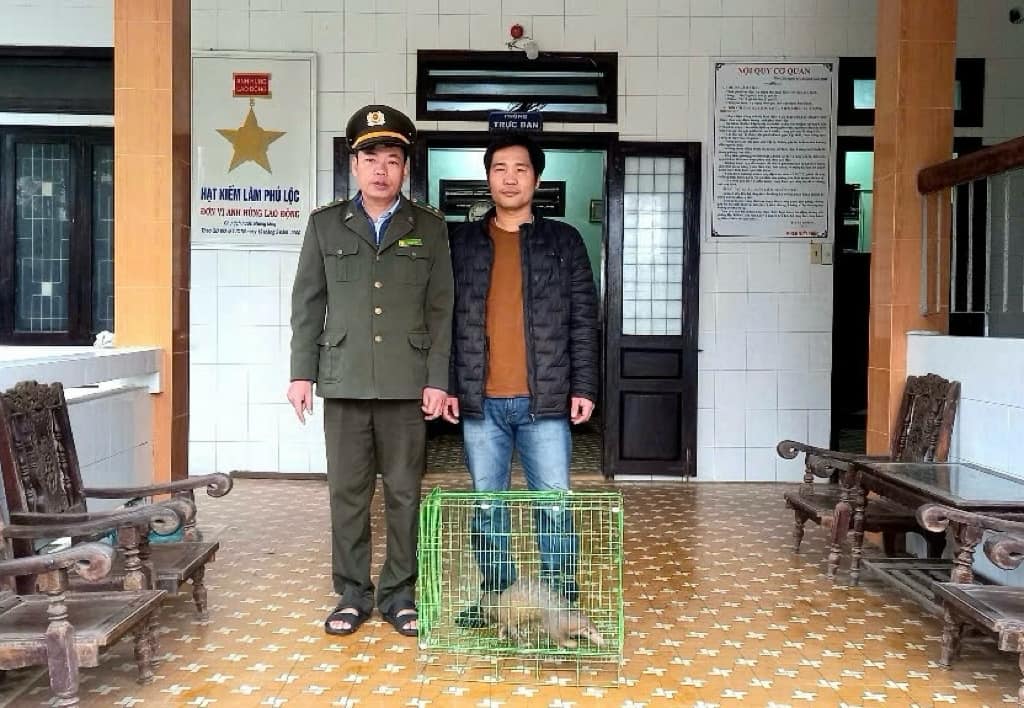 Nhiều cá thể Tê tê "đi lạc" ở Huế, người dân phát hiện giao nộp cho kiểm lâm- Ảnh 2. Nhiều cá thể Tê tê "đi lạc" ở Huế, người dân phát hiện giao nộp cho kiểm lâm- Ảnh 2.