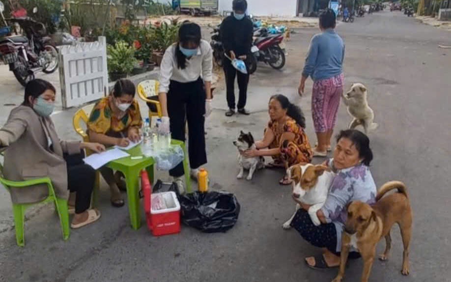 Chó dại vào chợ cắn 3 người rồi chết, ngành y tế khẩn tìm người từng tiếp xúc