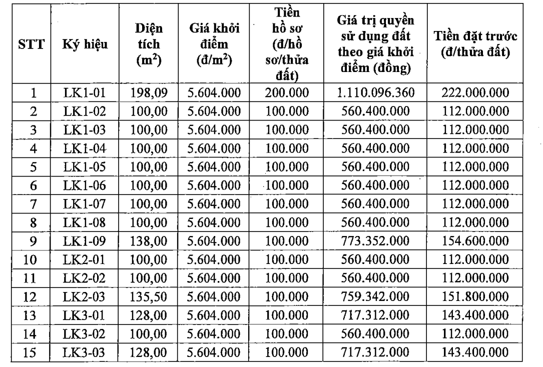 Hà Nội đấu giá 15 lô đất huyện Mê Linh, giá khởi điểm 5,6 triệu đồng/m2- Ảnh 1.