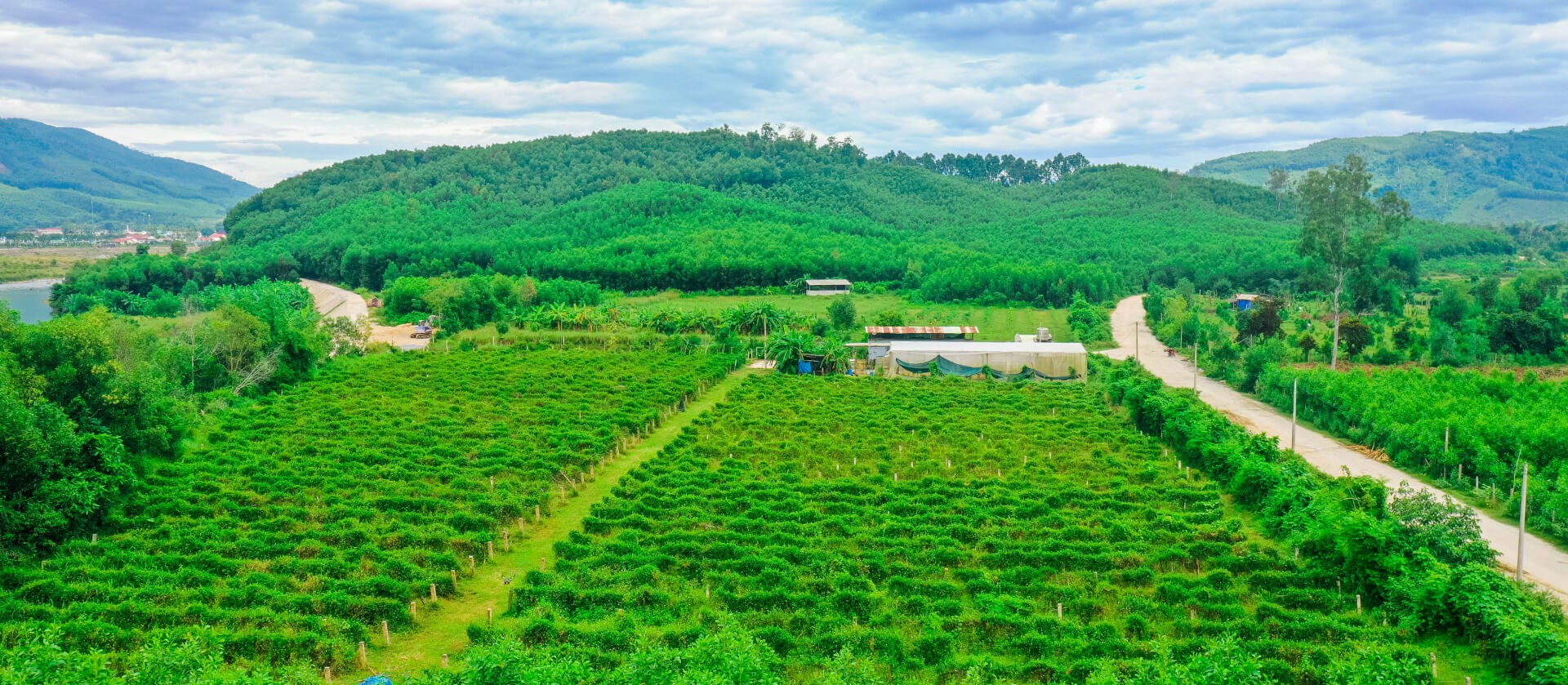 Thầy thuốc Nhân dân Phạm Thị Thanh Hương và dấu ấn trên hành trình đưa Bidiphar vững bước, vươn tầm- Ảnh 5.