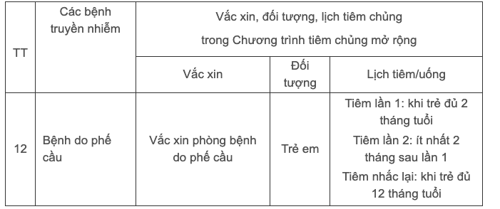 Đề xuất đưa vắc-xin phòng bệnh do phế cầu vào chương trình tiêm chủng mở rộng- Ảnh 1.