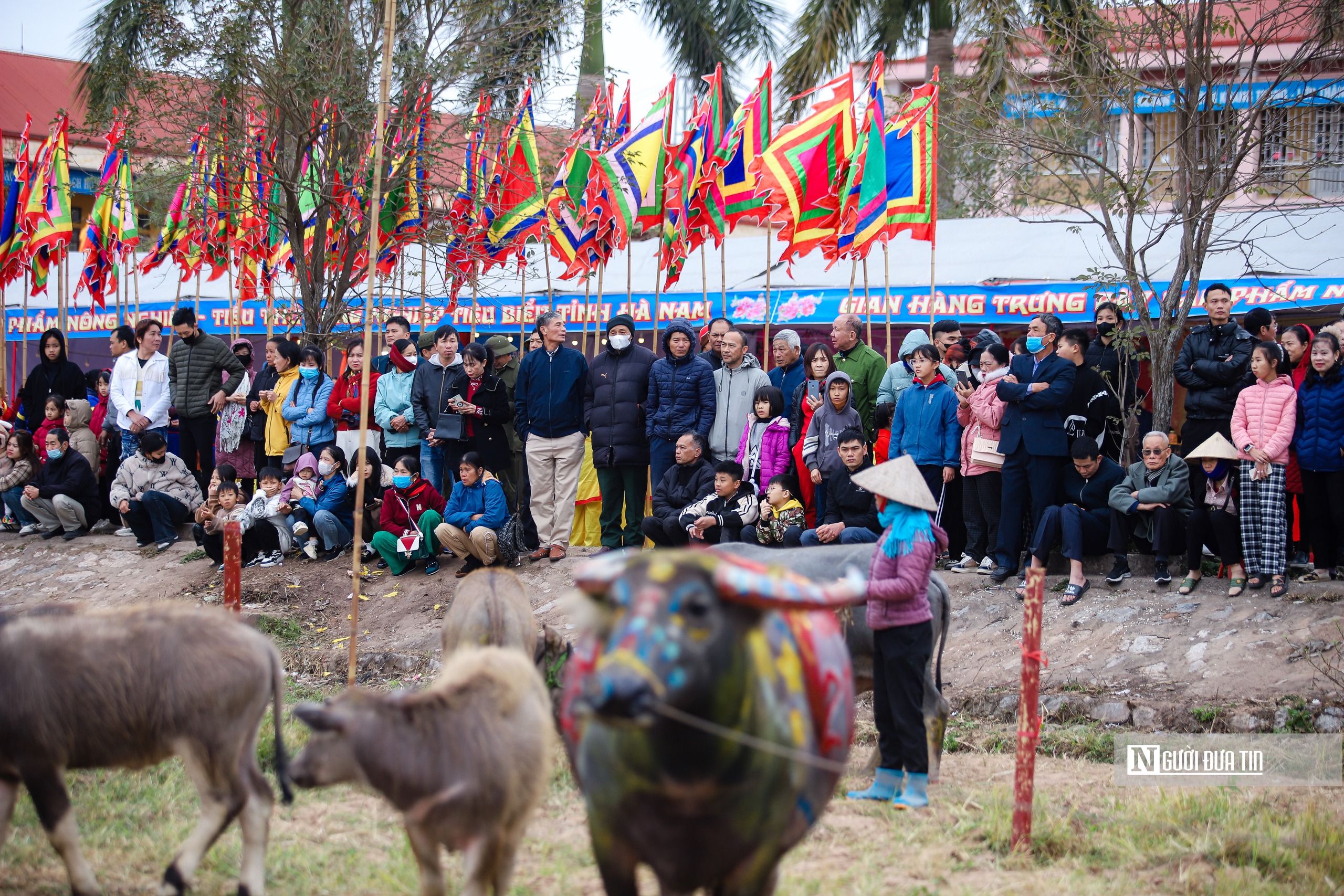 Người dân thích thú chụp ảnh, chiêm ngưỡng "lão" trâu tại Lễ Tịch điền Đọi Sơn- Ảnh 10.