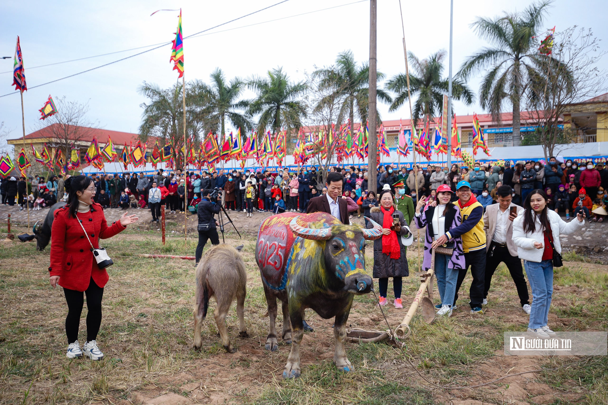 Người dân thích thú chụp ảnh, chiêm ngưỡng "lão" trâu tại Lễ Tịch điền Đọi Sơn- Ảnh 4.