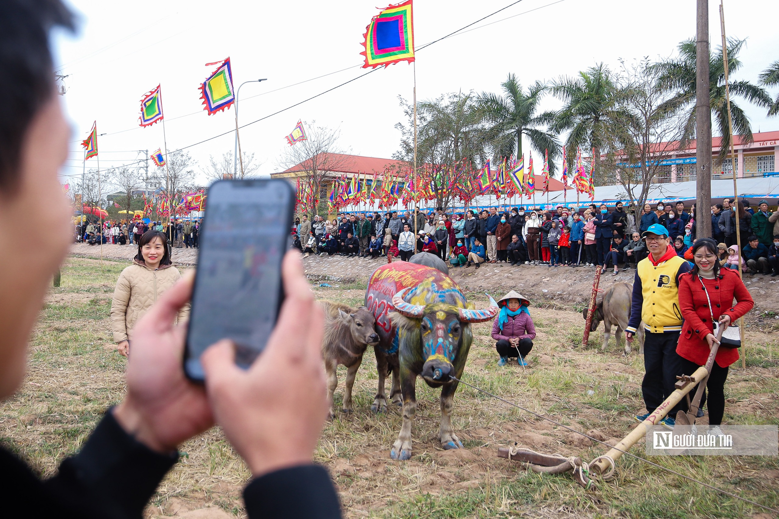 Người dân thích thú chụp ảnh, chiêm ngưỡng "lão" trâu tại Lễ Tịch điền Đọi Sơn- Ảnh 7.