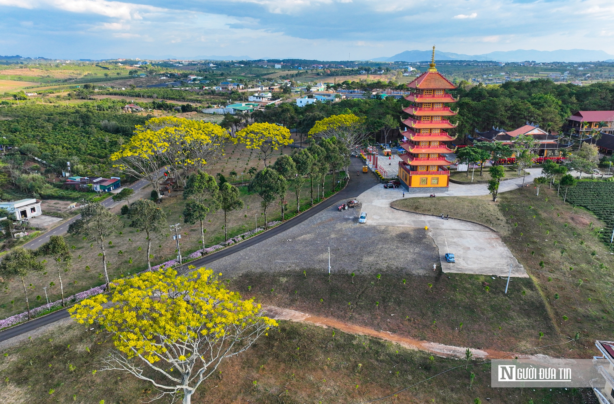 Phượng vàng khoe sắc trên Tu viện Bát Nhã- Ảnh 4.