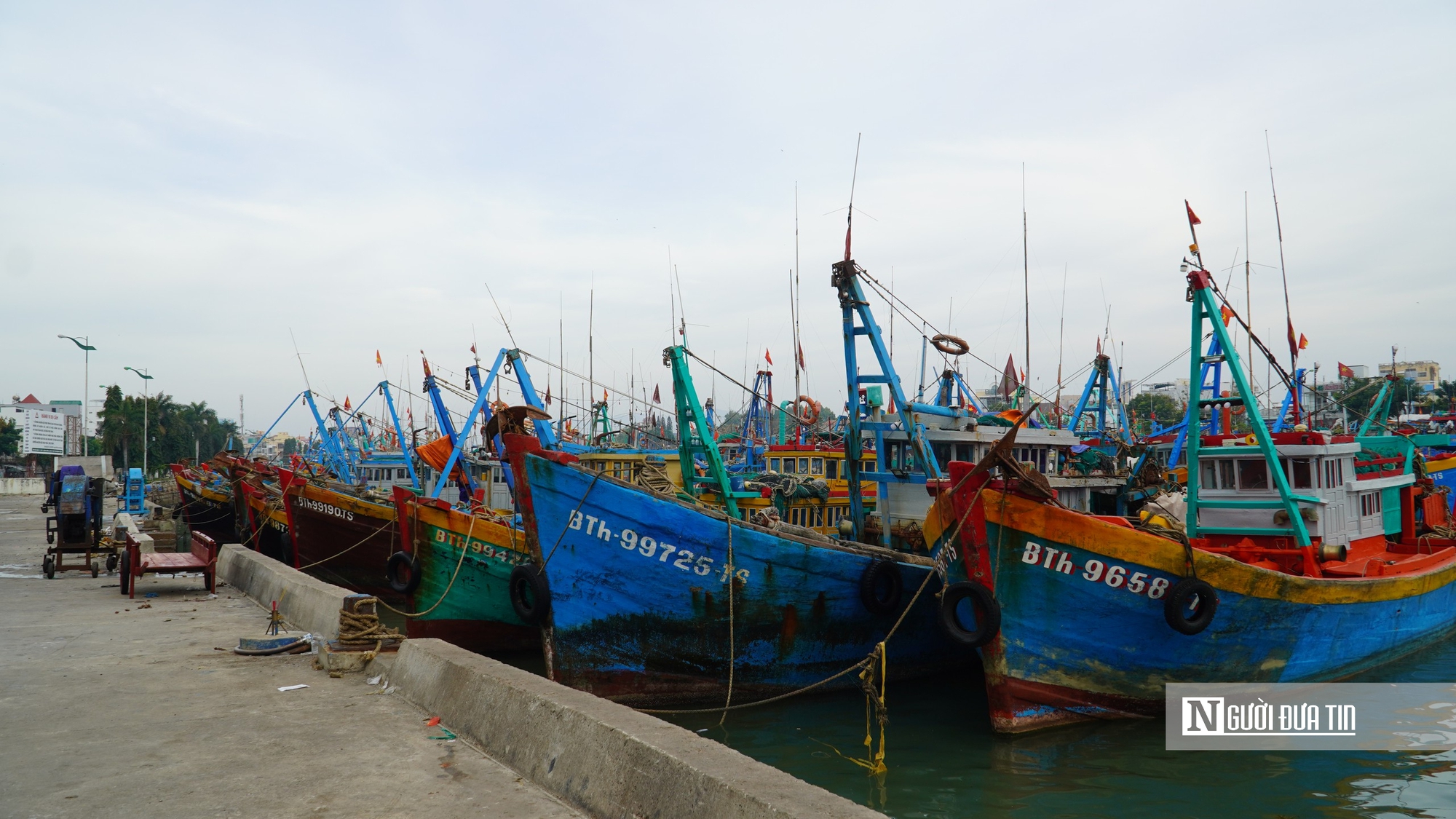 Ngư dân chở "lộc biển" cập cảng ngày đầu năm- Ảnh 7.