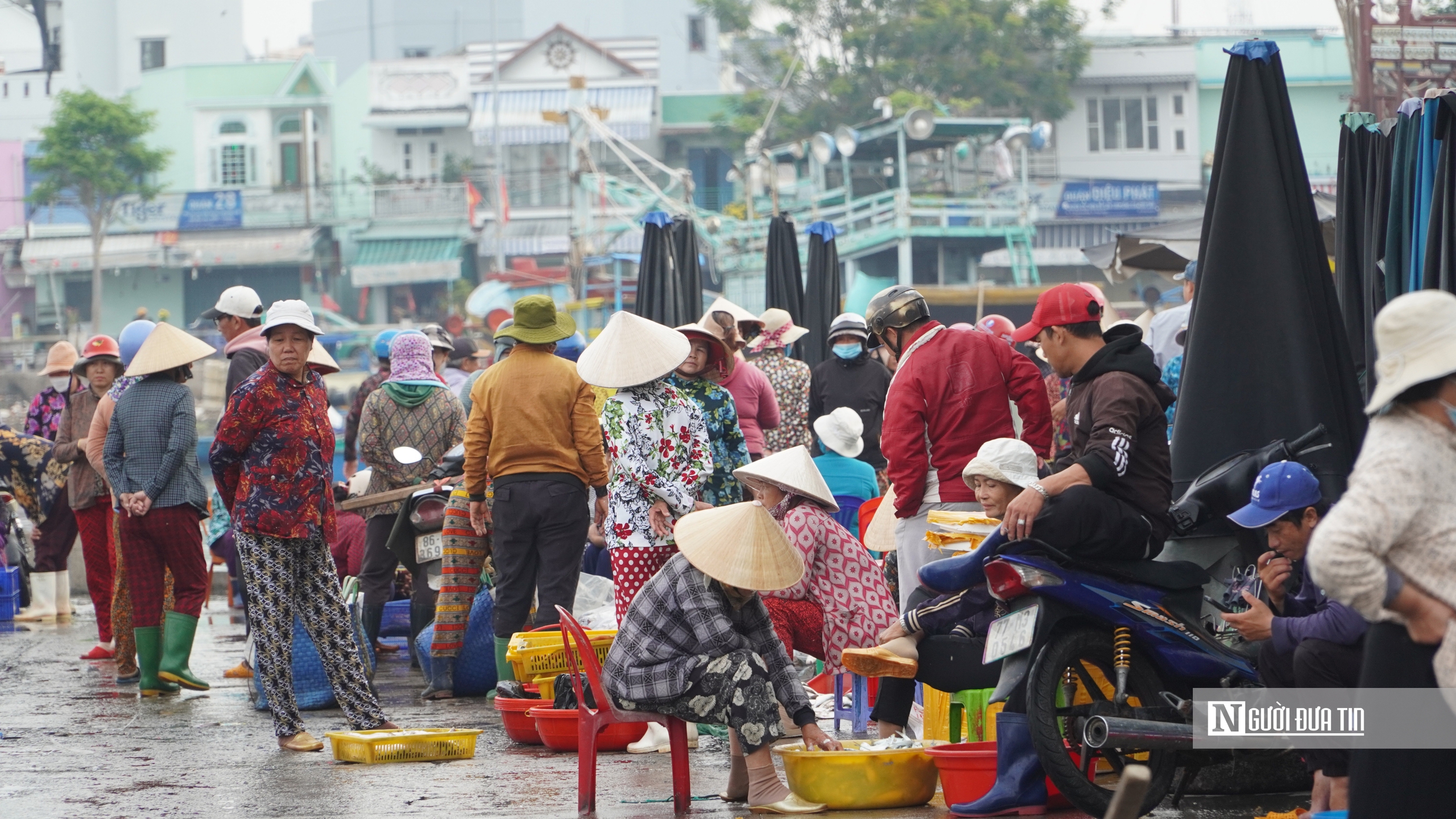 Ngư dân chở "lộc biển" cập cảng ngày đầu năm- Ảnh 10.