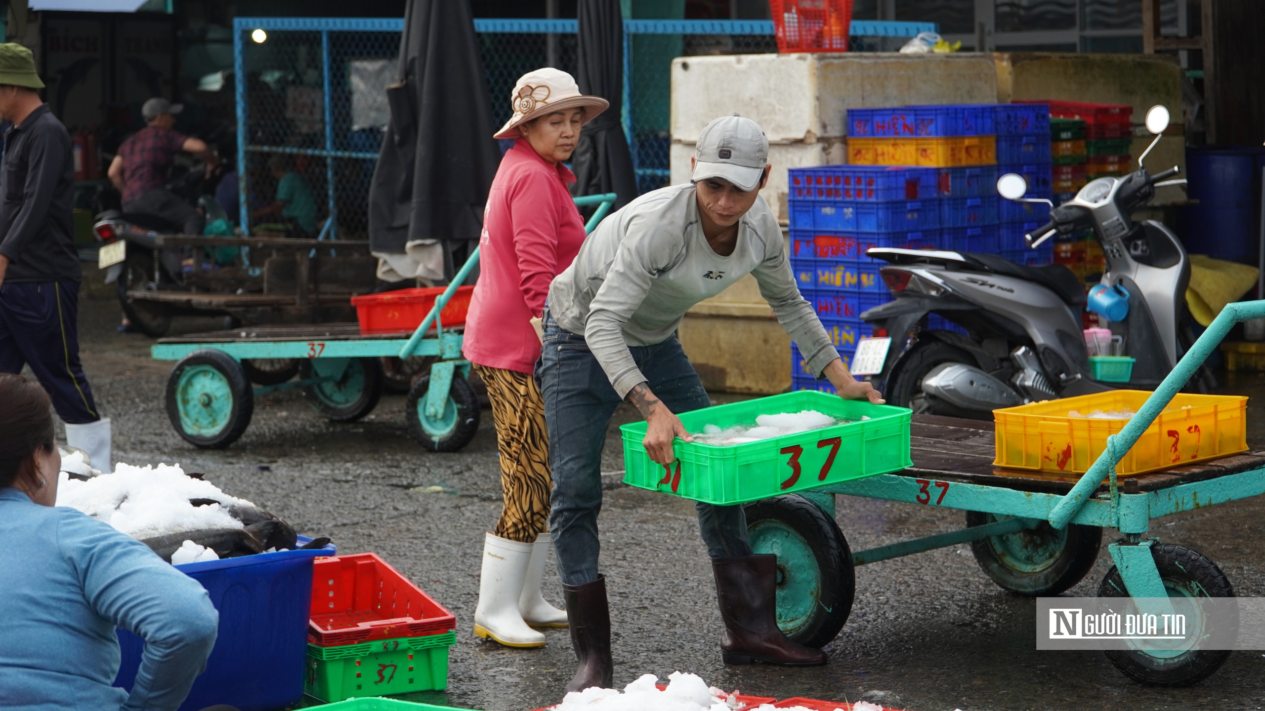 Ngư dân chở "lộc biển" cập cảng ngày đầu năm- Ảnh 11.