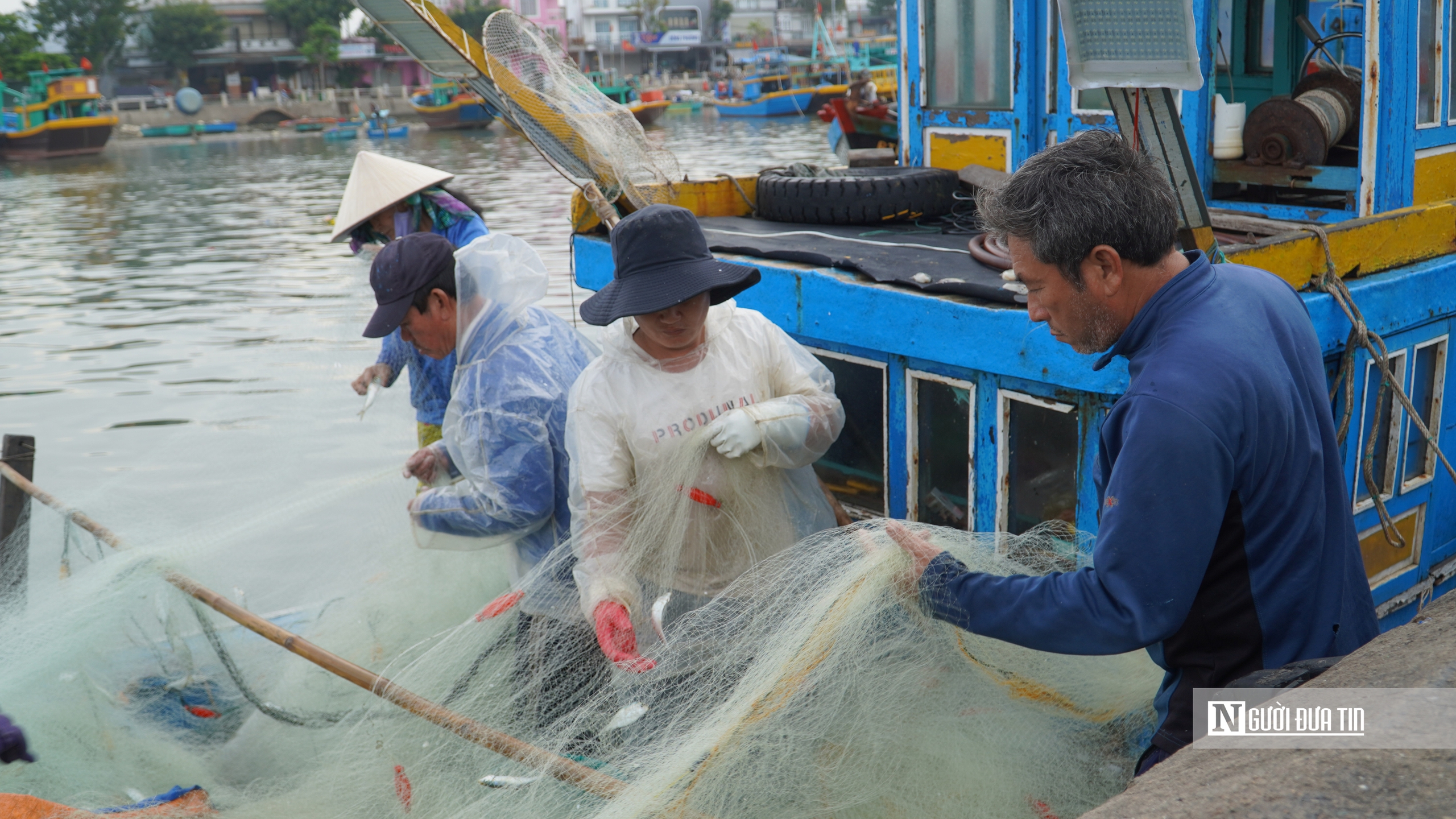 Ngư dân chở "lộc biển" cập cảng ngày đầu năm- Ảnh 6.