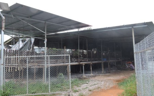 Anh n&ocirc;ng d&acirc;n nu&ocirc;i con "m&ecirc; bơi lội", mỗi năm nhẹ nh&agrave;ng bỏ t&uacute;i 8 tỷ đồng - Ảnh 4.