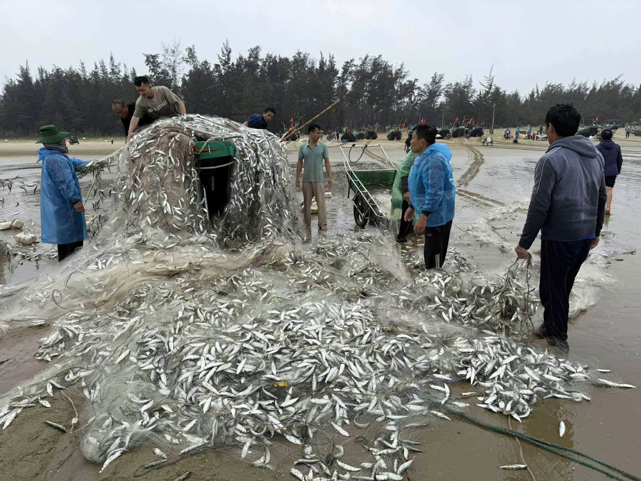 Thuyền chở 1,5 tấn cá trích bị sóng đánh lật úp khi vào gần bờ- Ảnh 1.