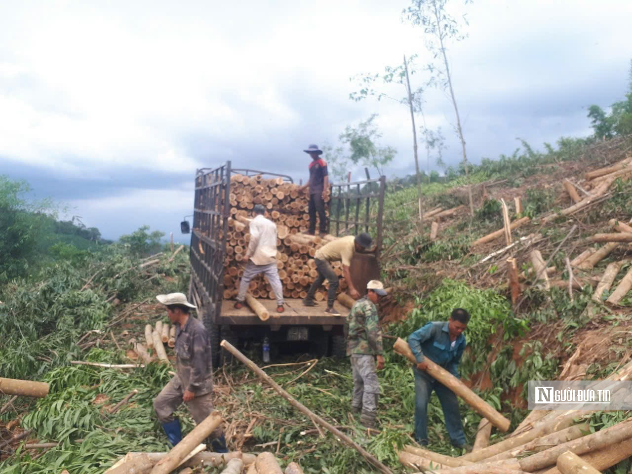 Người dân trở thành "người gác rừng": Hướng đi bền vững cho kinh tế và môi trường- Ảnh 2.