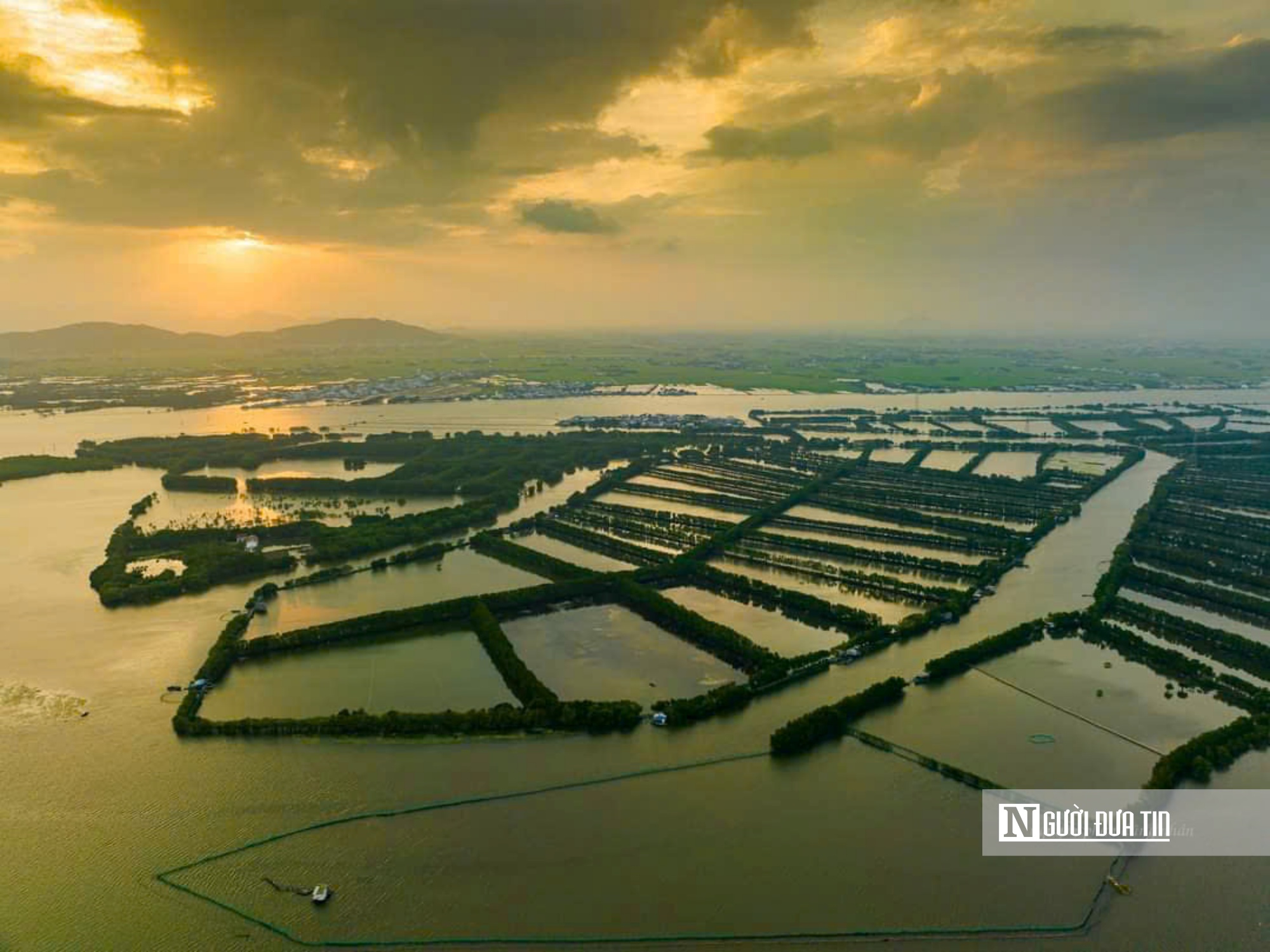 Chiêm ngưỡng vẻ đẹp của rừng ngập mặn Cồn Chim – hòn ngọc xanh giữa đầm Thị Nại- Ảnh 9.