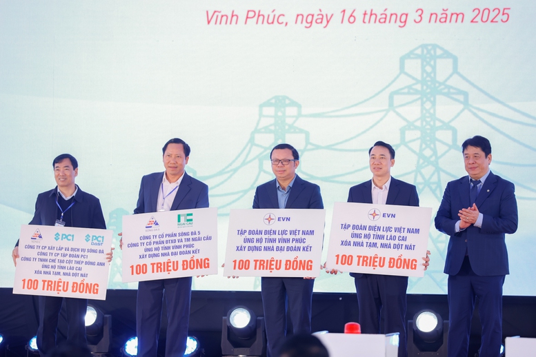 Thủ tướng: Thần tốc hoàn thành đường dây 500 kV Lào Cai - Vĩnh Yên trong 6 tháng- Ảnh 3.