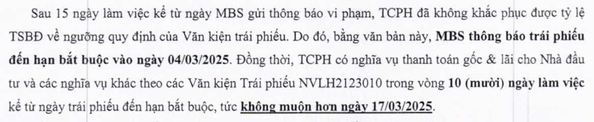 Novaland bị buộc mua lại trước hạn trái phiếu do không bổ sung tài sản đảm bảo theo yêu cầu- Ảnh 1.