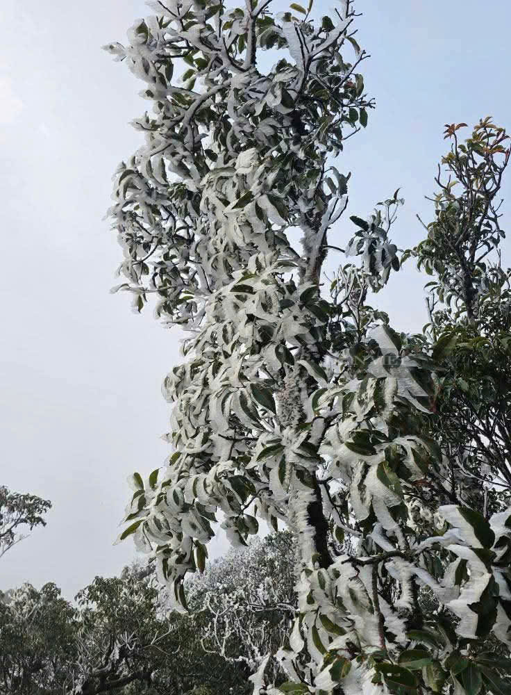 "Lạ thường" giữa tháng 3, nơi này ở Miền Bắc bất ngờ băng tuyết phủ kín- Ảnh 2.