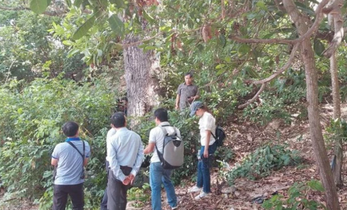 Loài cây quý hiếm bậc nhất thế giới, "cứng như sắt, quý hơn vàng", chỉ duy nhất Việt Nam sở hữu- Ảnh 1.