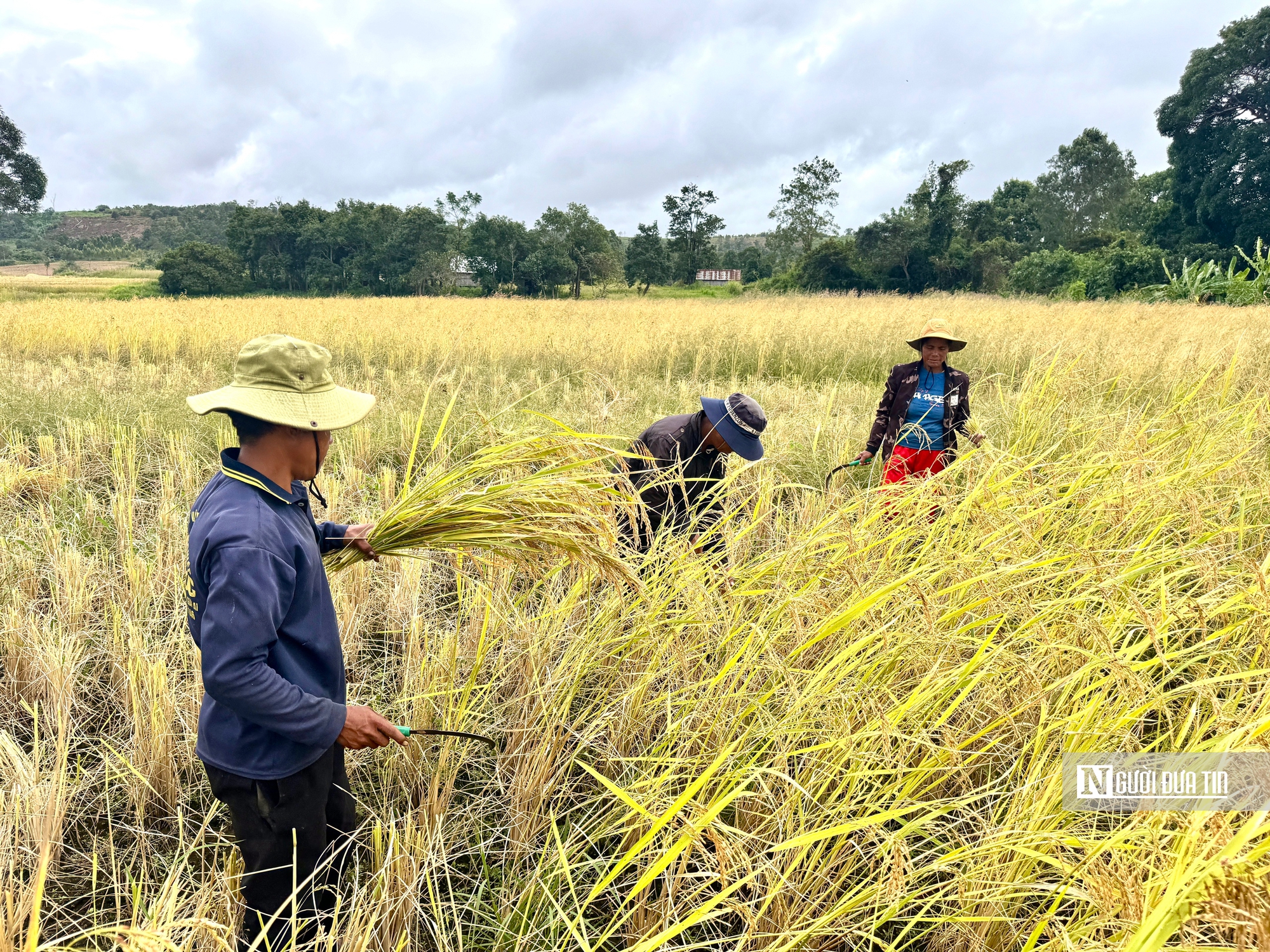 Gia Lai đầu tư hơn 3.000 tỷ đồng giải bài toán thiếu nước vùng biên- Ảnh 5.