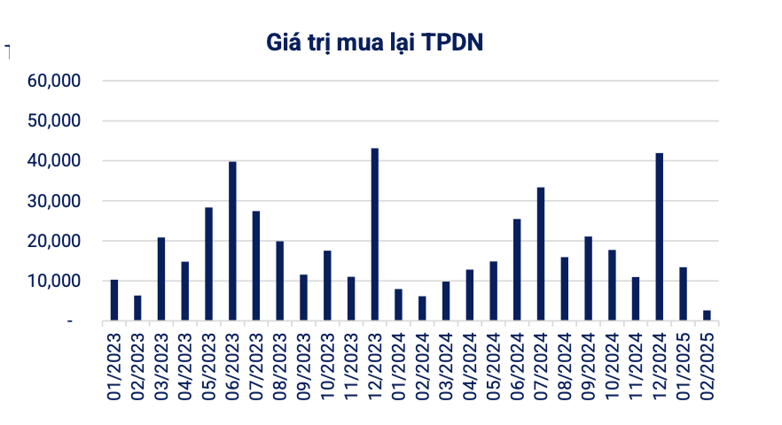 Không có doanh nghiệp nào phát hành trái phiếu trong tháng 2/2025- Ảnh 1.