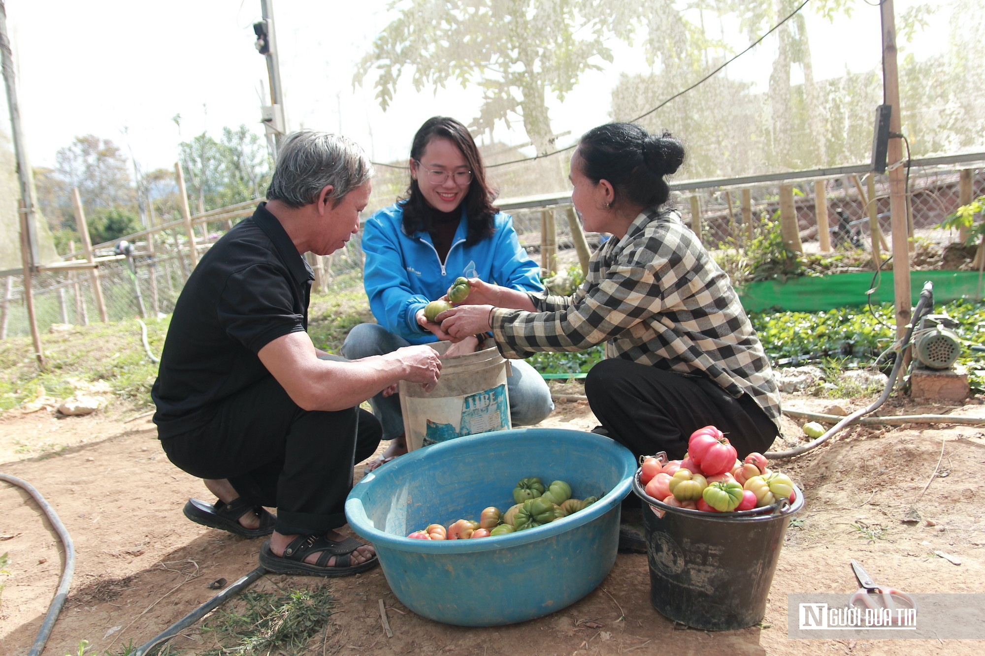 Giá nông sản “chạm đáy”, nông dân xứ Nghệ tự cứu mình nhờ công nghệ- Ảnh 6.