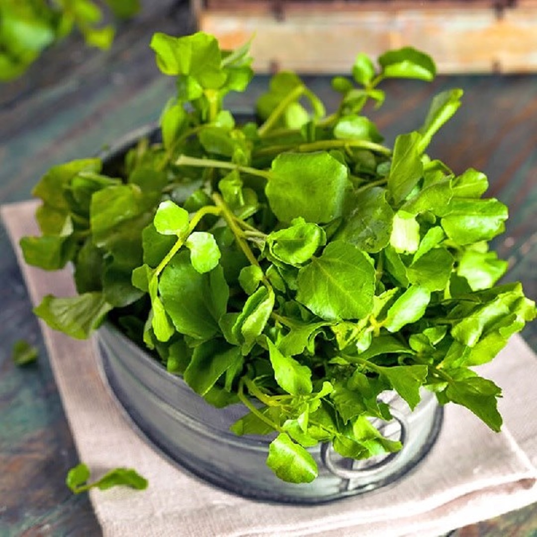 Mỹ đánh giá "rau tốt nhất thế giới" hóa ra là rau quen thuộc ở nước ta- Ảnh 2. Mỹ đánh giá "rau tốt nhất thế giới" hóa ra là rau quen thuộc ở nước ta- Ảnh 2.
