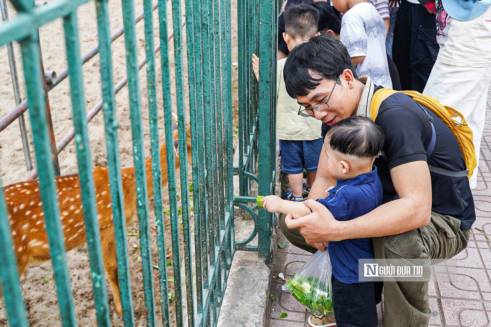 Vườn thú Hà Nội “thất thủ” trong kỳ nghỉ lễ 30/4 – 1/5- Ảnh 8. Vườn thú Hà Nội “thất thủ” trong kỳ nghỉ lễ 30/4 – 1/5- Ảnh 8.