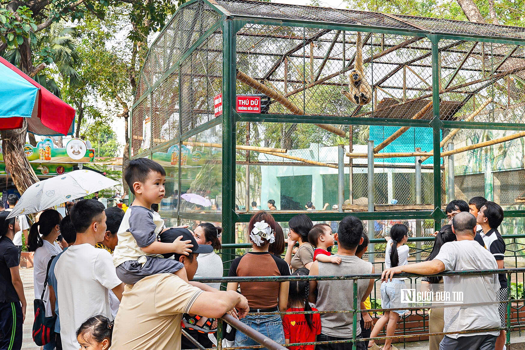 Vườn thú Hà Nội “thất thủ” trong kỳ nghỉ lễ 30/4 – 1/5- Ảnh 5. Vườn thú Hà Nội “thất thủ” trong kỳ nghỉ lễ 30/4 – 1/5- Ảnh 5.