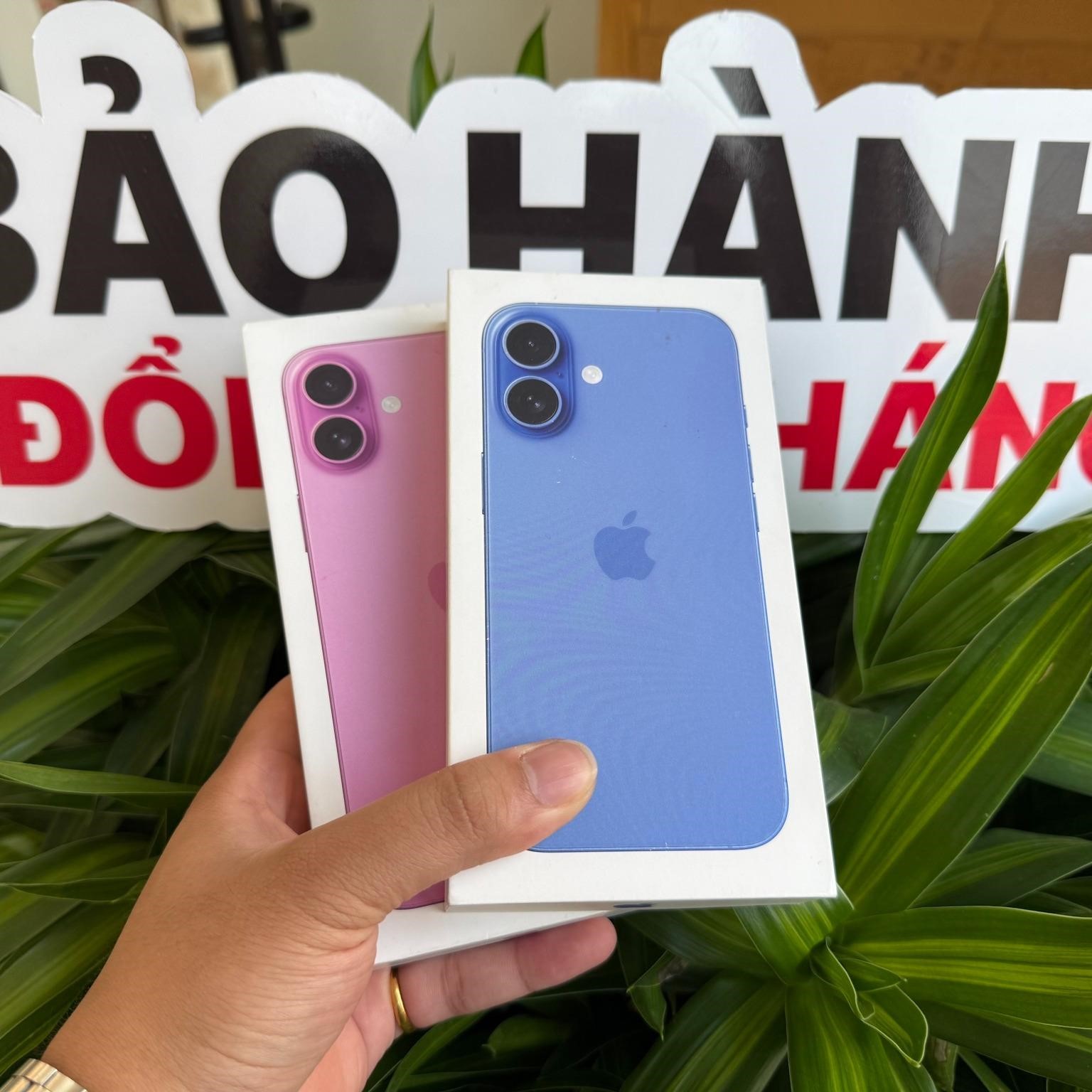 Thông số iPhone 16 Plus: Toàn bộ những gì bạn cần biết- Ảnh 5. Thông số iPhone 16 Plus: Toàn bộ những gì bạn cần biết- Ảnh 5.