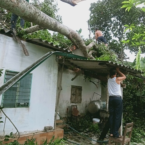 Hà Tĩnh: Giông lốc làm sập mái hàng chục ngôi nhà- Ảnh 1. Hà Tĩnh: Giông lốc làm sập mái hàng chục ngôi nhà- Ảnh 1.