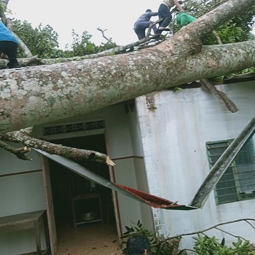 Hà Tĩnh: Giông lốc làm sập mái hàng chục ngôi nhà- Ảnh 2. Hà Tĩnh: Giông lốc làm sập mái hàng chục ngôi nhà- Ảnh 2.