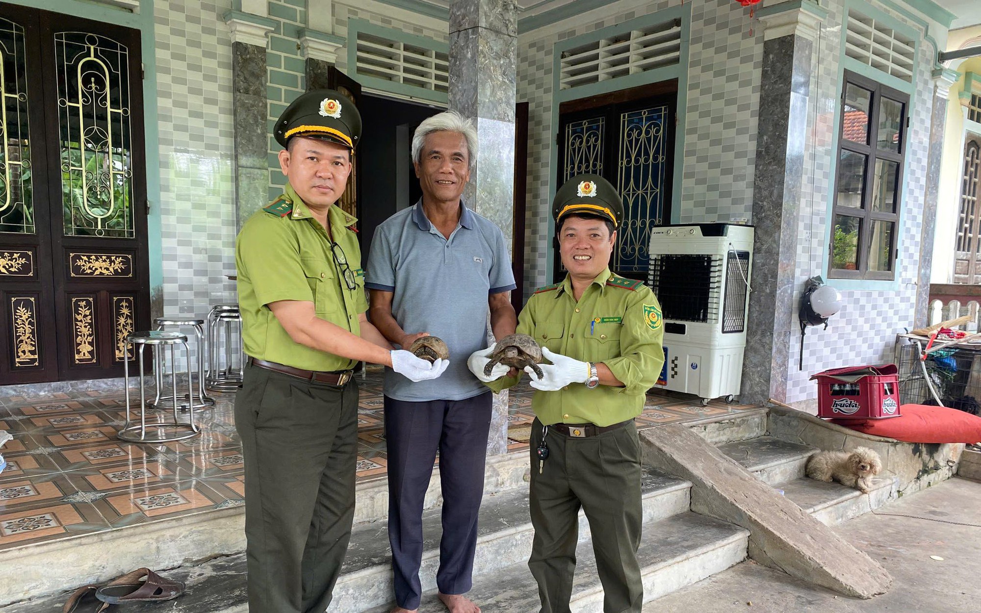 Nhiều cá thể tê tê, rùa núi vàng quý hiếm được người dân Huế 
