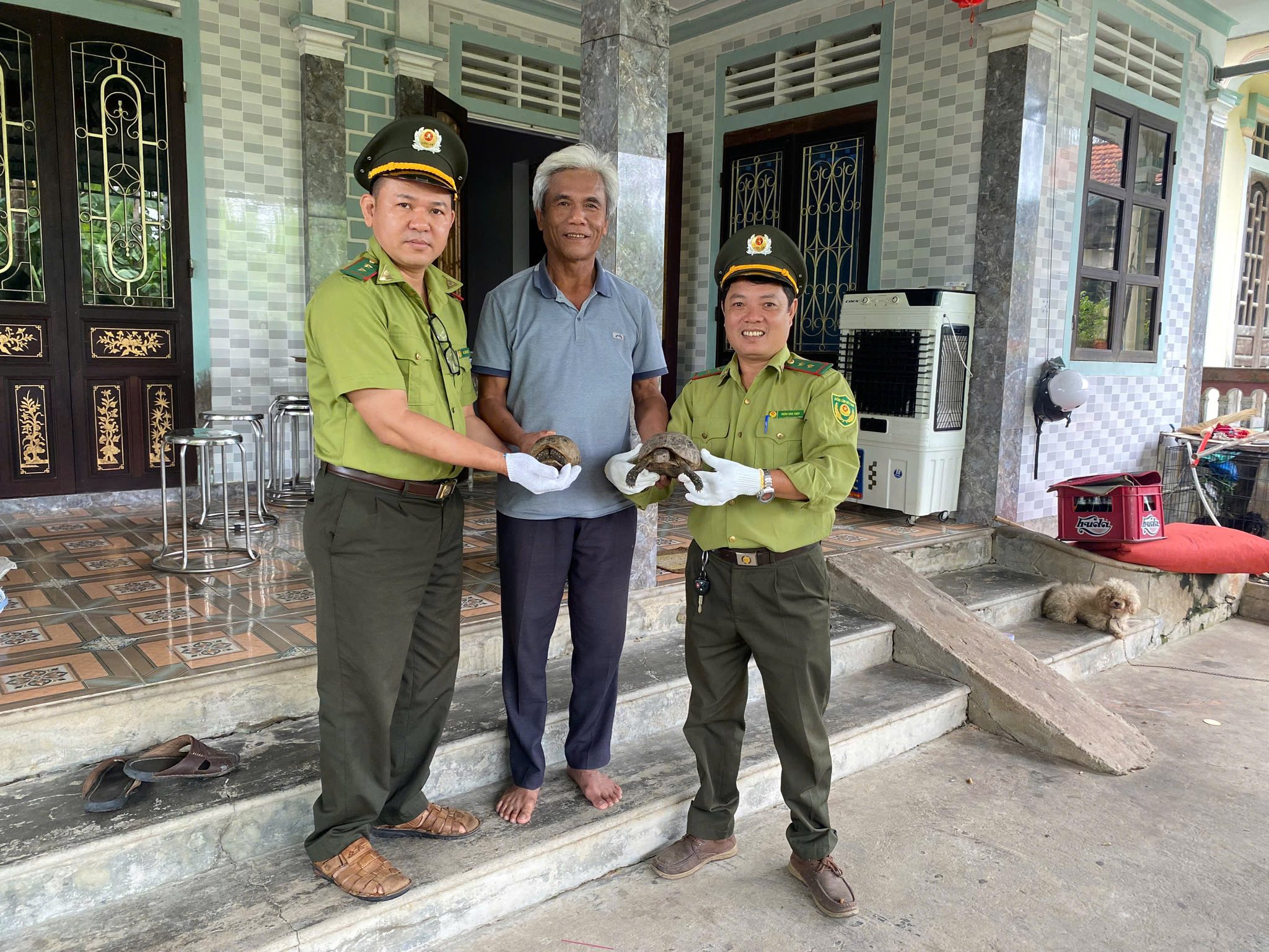 Nhiều cá thể tê tê, rùa núi vàng quý hiếm được người dân Huế "giải cứu"- Ảnh 2. Nhiều cá thể tê tê, rùa núi vàng quý hiếm được người dân Huế "giải cứu"- Ảnh 2.