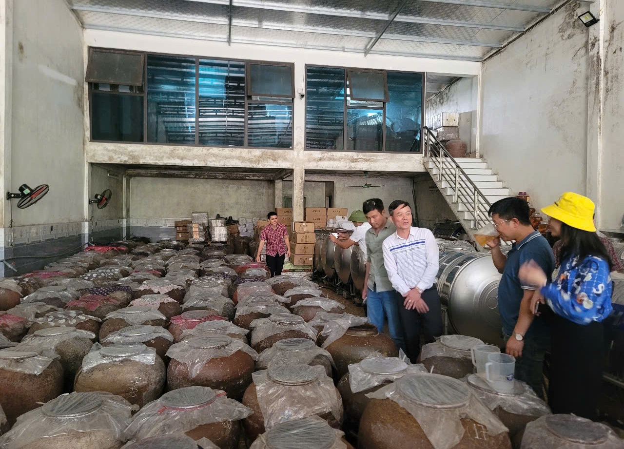 Thanh Hóa tổ chức cho phóng viên đi thực tế tại Thành Nhà Hồ- Ảnh 8. Thanh Hóa tổ chức cho phóng viên đi thực tế tại Thành Nhà Hồ- Ảnh 8.